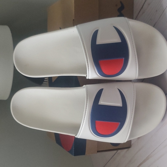 Champion Slides - Picture 2 of 3
